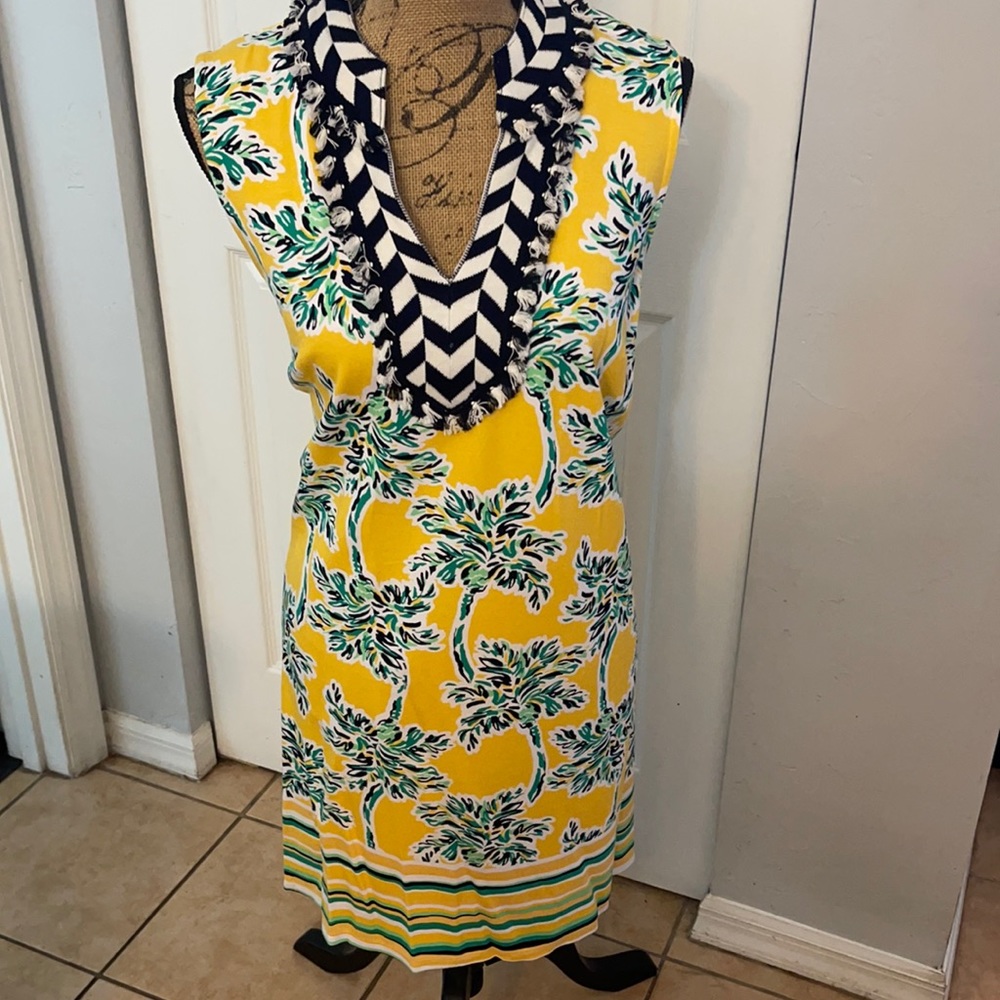 Crown & Ivy dress